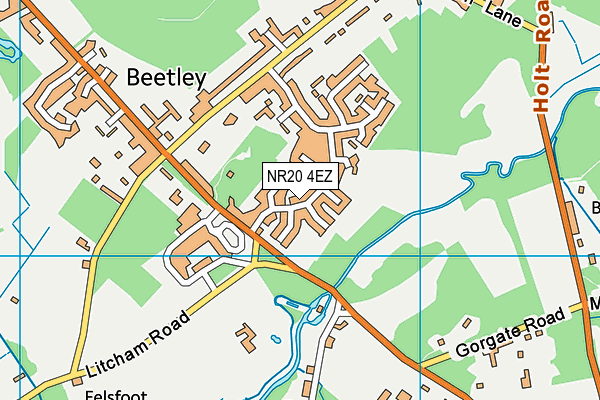 NR20 4EZ map - OS VectorMap District (Ordnance Survey) NR20 4EZ map - OS VectorMap District (Ordnance Survey)