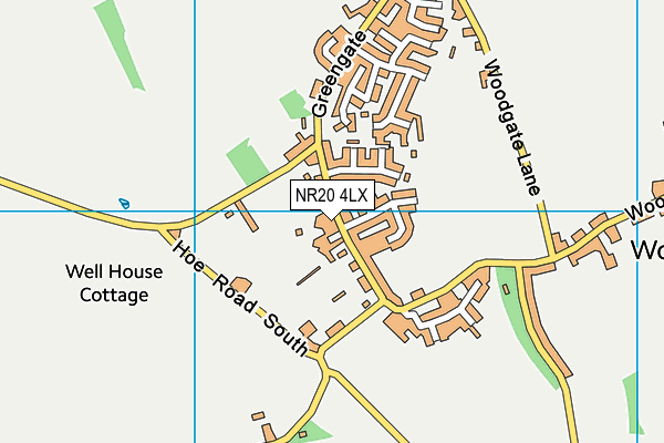 NR20 4LX map - OS VectorMap District (Ordnance Survey) NR20 4LX map - OS VectorMap District (Ordnance Survey)