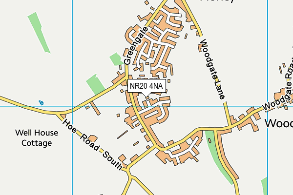 NR20 4NA map - OS VectorMap District (Ordnance Survey) NR20 4NA map - OS VectorMap District (Ordnance Survey)