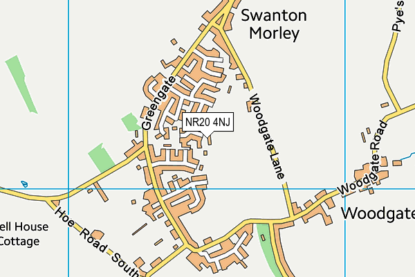 NR20 4NJ map - OS VectorMap District (Ordnance Survey)
