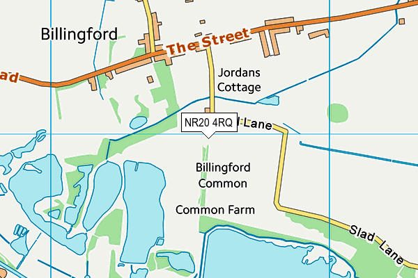 NR20 4RQ map - OS VectorMap District (Ordnance Survey)