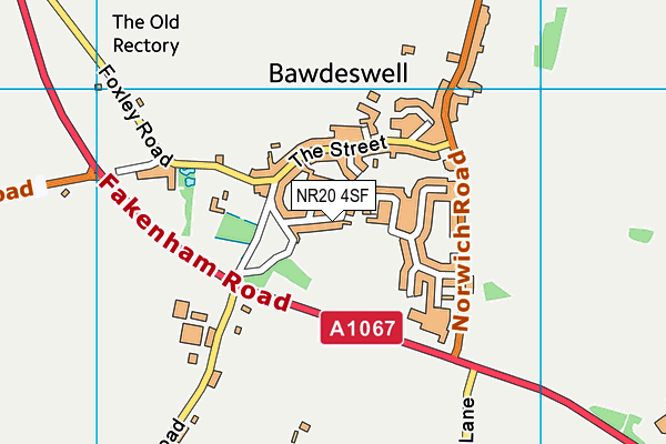 NR20 4SF map - OS VectorMap District (Ordnance Survey)