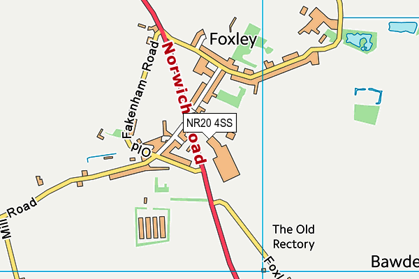 NR20 4SS map - OS VectorMap District (Ordnance Survey) NR20 4SS map - OS VectorMap District (Ordnance Survey)