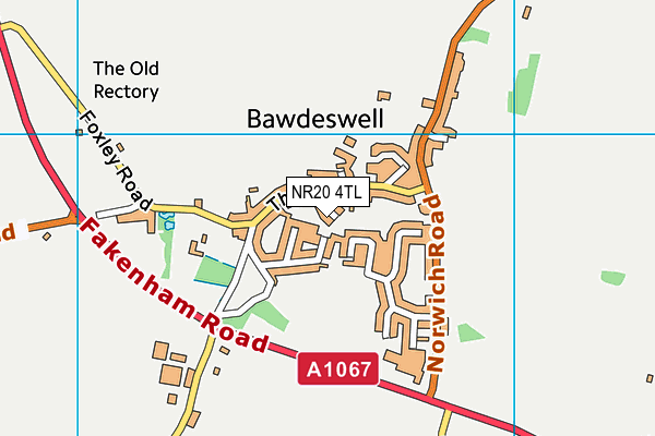 NR20 4TL map - OS VectorMap District (Ordnance Survey)
