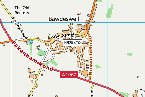 NR20 4TQ map - OS VectorMap District (Ordnance Survey) NR20 4TQ map - OS VectorMap District (Ordnance Survey)