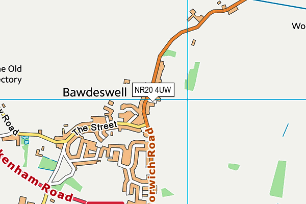 NR20 4UW map - OS VectorMap District (Ordnance Survey)