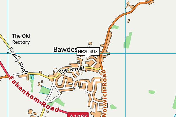 NR20 4UX map - OS VectorMap District (Ordnance Survey)