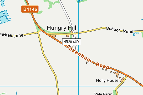 NR20 4UY map - OS VectorMap District (Ordnance Survey)