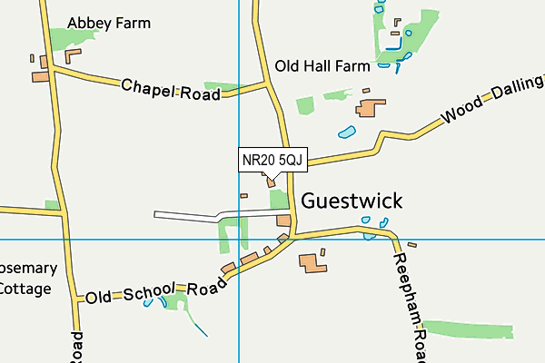 NR20 5QJ map - OS VectorMap District (Ordnance Survey) NR20 5QJ map - OS VectorMap District (Ordnance Survey)