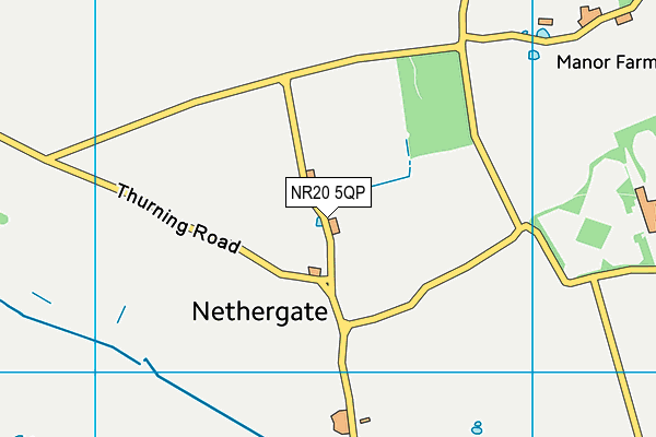 NR20 5QP map - OS VectorMap District (Ordnance Survey) NR20 5QP map - OS VectorMap District (Ordnance Survey)