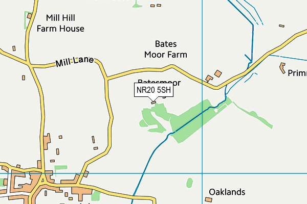NR20 5SH map - OS VectorMap District (Ordnance Survey) NR20 5SH map - OS VectorMap District (Ordnance Survey)