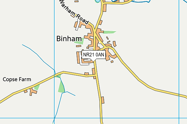 NR21 0AN map - OS VectorMap District (Ordnance Survey) NR21 0AN map - OS VectorMap District (Ordnance Survey)