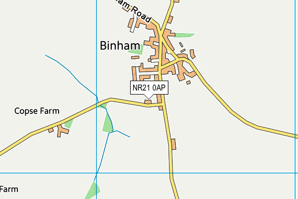 NR21 0AP map - OS VectorMap District (Ordnance Survey) NR21 0AP map - OS VectorMap District (Ordnance Survey)