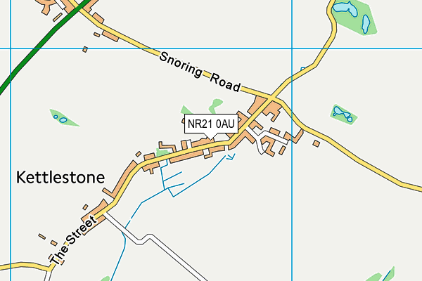 NR21 0AU map - OS VectorMap District (Ordnance Survey)