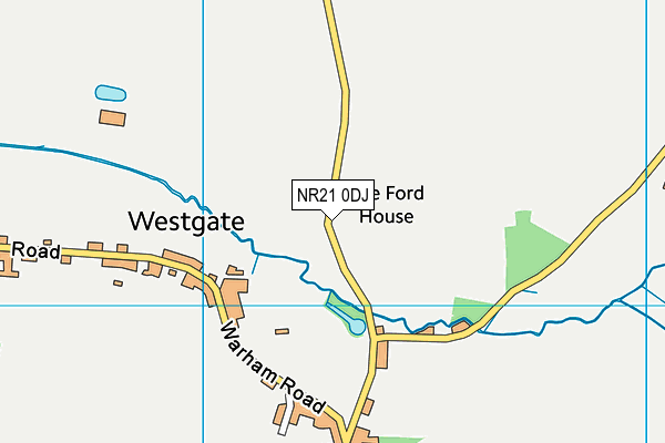 NR21 0DJ map - OS VectorMap District (Ordnance Survey) NR21 0DJ map - OS VectorMap District (Ordnance Survey)