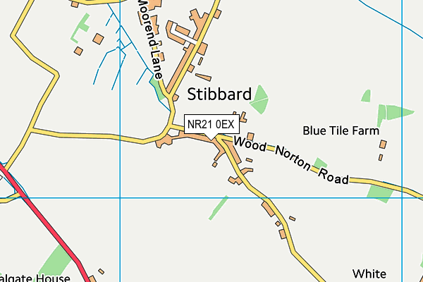 NR21 0EX map - OS VectorMap District (Ordnance Survey) NR21 0EX map - OS VectorMap District (Ordnance Survey)