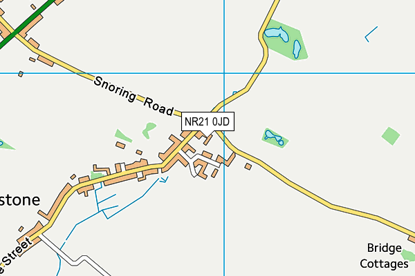 NR21 0JD map - OS VectorMap District (Ordnance Survey) NR21 0JD map - OS VectorMap District (Ordnance Survey)