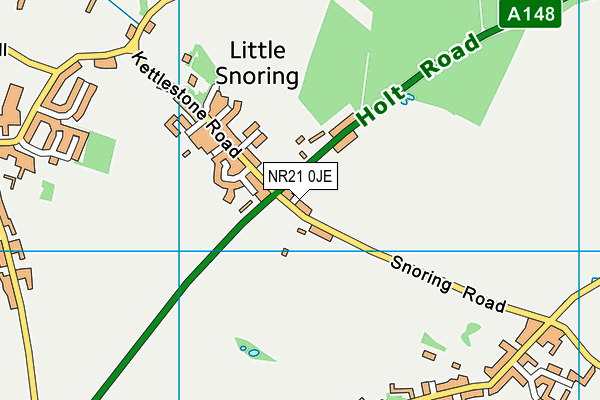 NR21 0JE map - OS VectorMap District (Ordnance Survey)