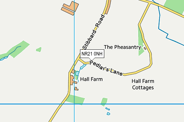 NR21 0NH map - OS VectorMap District (Ordnance Survey)