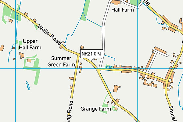 NR21 0PJ map - OS VectorMap District (Ordnance Survey) NR21 0PJ map - OS VectorMap District (Ordnance Survey)