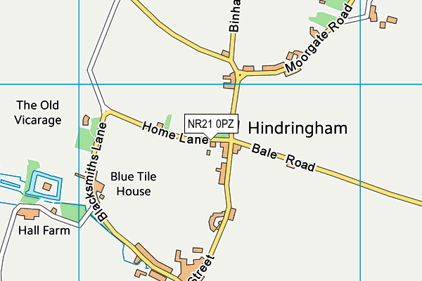 NR21 0PZ map - OS VectorMap District (Ordnance Survey) NR21 0PZ map - OS VectorMap District (Ordnance Survey)