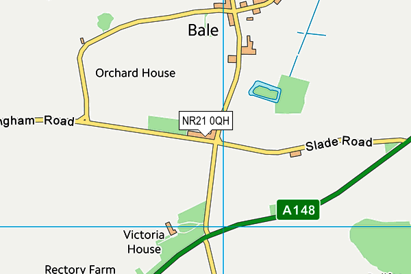 NR21 0QH map - OS VectorMap District (Ordnance Survey) NR21 0QH map - OS VectorMap District (Ordnance Survey)