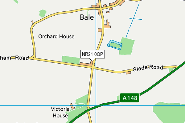 NR21 0QP map - OS VectorMap District (Ordnance Survey) NR21 0QP map - OS VectorMap District (Ordnance Survey)