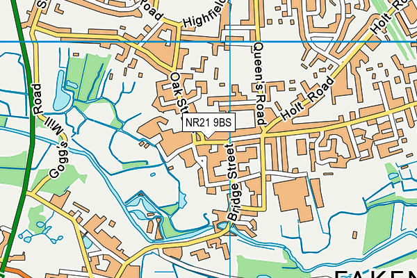 NR21 9BS map - OS VectorMap District (Ordnance Survey)