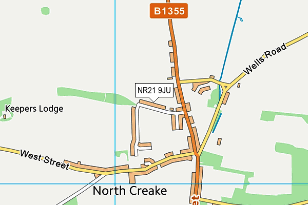NR21 9JU map - OS VectorMap District (Ordnance Survey) NR21 9JU map - OS VectorMap District (Ordnance Survey)