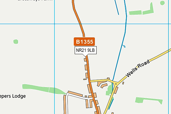 NR21 9LB map - OS VectorMap District (Ordnance Survey) NR21 9LB map - OS VectorMap District (Ordnance Survey)