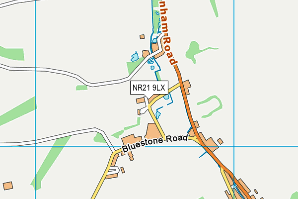 NR21 9LX map - OS VectorMap District (Ordnance Survey) NR21 9LX map - OS VectorMap District (Ordnance Survey)