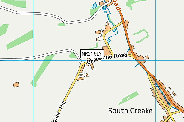 NR21 9LY map - OS VectorMap District (Ordnance Survey)