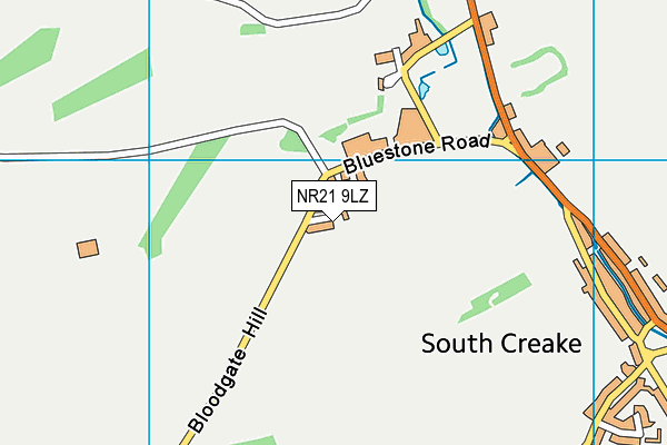NR21 9LZ map - OS VectorMap District (Ordnance Survey) NR21 9LZ map - OS VectorMap District (Ordnance Survey)