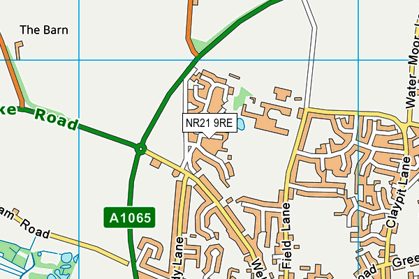 NR21 9RE map - OS VectorMap District (Ordnance Survey) NR21 9RE map - OS VectorMap District (Ordnance Survey)