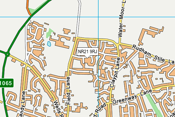 NR21 9RJ map - OS VectorMap District (Ordnance Survey) NR21 9RJ map - OS VectorMap District (Ordnance Survey)