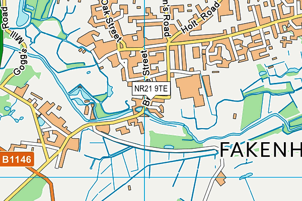 NR21 9TE map - OS VectorMap District (Ordnance Survey) NR21 9TE map - OS VectorMap District (Ordnance Survey)