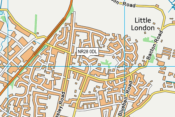 NR28 0DL map - OS VectorMap District (Ordnance Survey) NR28 0DL map - OS VectorMap District (Ordnance Survey)