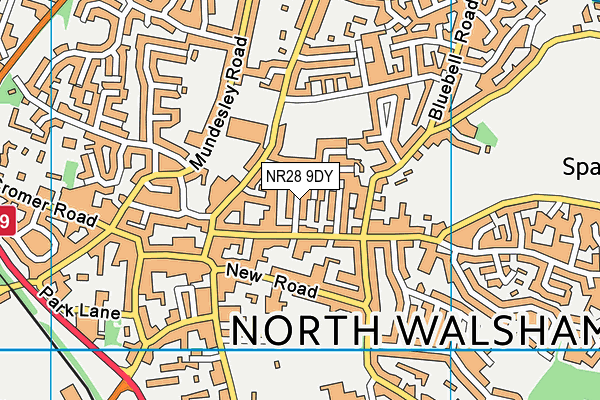NR28 9DY map - OS VectorMap District (Ordnance Survey) NR28 9DY map - OS VectorMap District (Ordnance Survey)