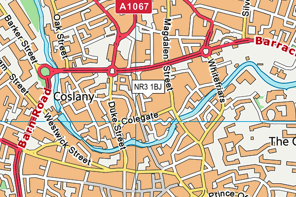 NR3 1BJ map - OS VectorMap District (Ordnance Survey) NR3 1BJ map - OS VectorMap District (Ordnance Survey)