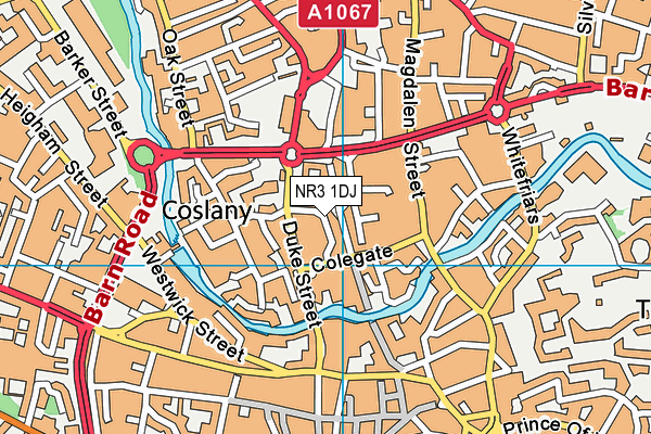 NR3 1DJ map - OS VectorMap District (Ordnance Survey) NR3 1DJ map - OS VectorMap District (Ordnance Survey)
