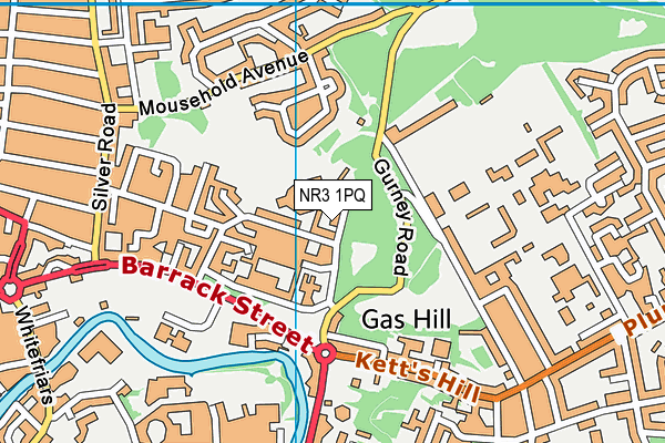 NR3 1PQ map - OS VectorMap District (Ordnance Survey) NR3 1PQ map - OS VectorMap District (Ordnance Survey)