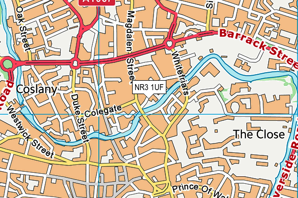 NR3 1UF map - OS VectorMap District (Ordnance Survey)