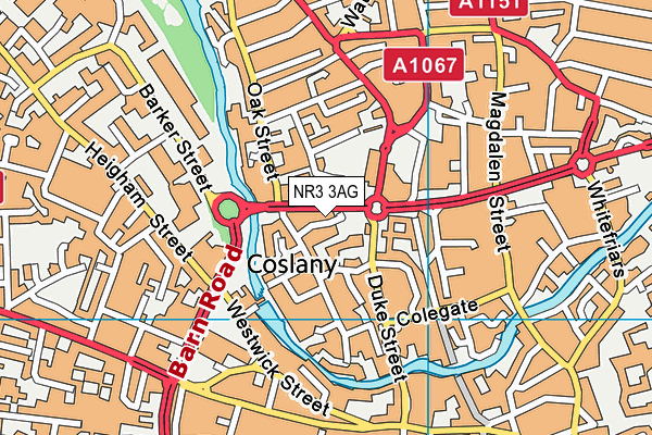 NR3 3AG map - OS VectorMap District (Ordnance Survey)