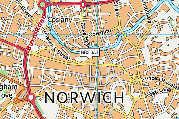 NR3 3AJ map - OS VectorMap District (Ordnance Survey) NR3 3AJ map - OS VectorMap District (Ordnance Survey)