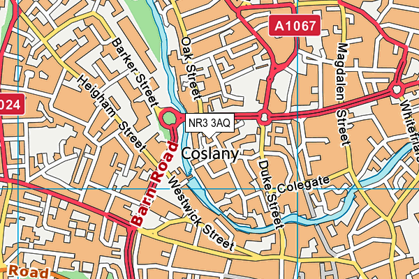 NR3 3AQ map - OS VectorMap District (Ordnance Survey) NR3 3AQ map - OS VectorMap District (Ordnance Survey)