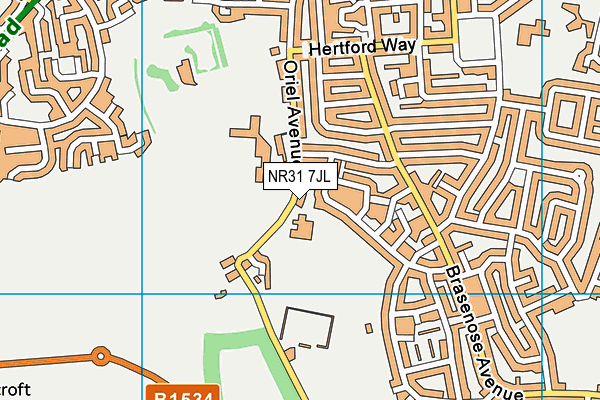 NR31 7JL map - OS VectorMap District (Ordnance Survey) NR31 7JL map - OS VectorMap District (Ordnance Survey)