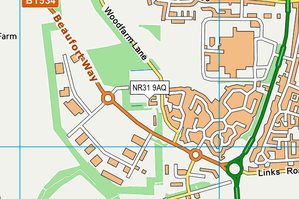 NR31 9AQ map - OS VectorMap District (Ordnance Survey) NR31 9AQ map - OS VectorMap District (Ordnance Survey)