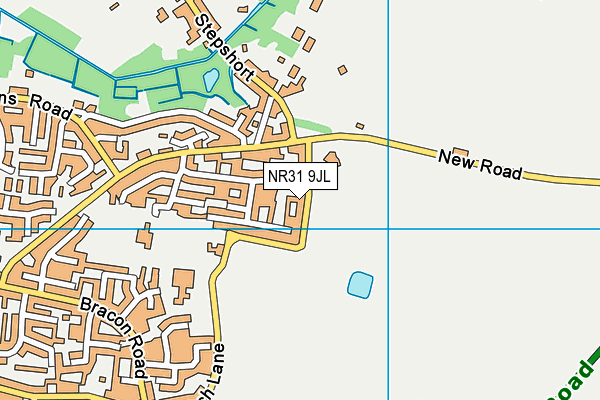 NR31 9JL map - OS VectorMap District (Ordnance Survey) NR31 9JL map - OS VectorMap District (Ordnance Survey)