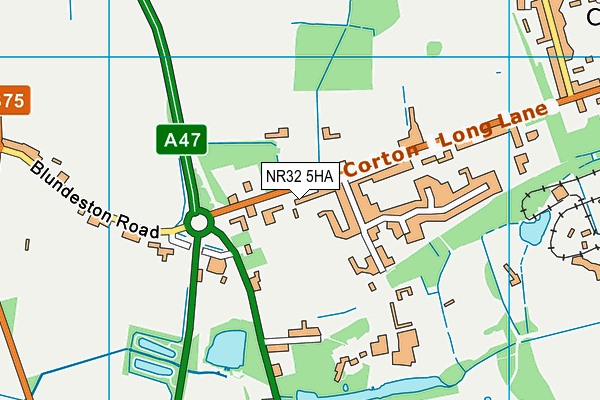 NR32 5HA map - OS VectorMap District (Ordnance Survey) NR32 5HA map - OS VectorMap District (Ordnance Survey)