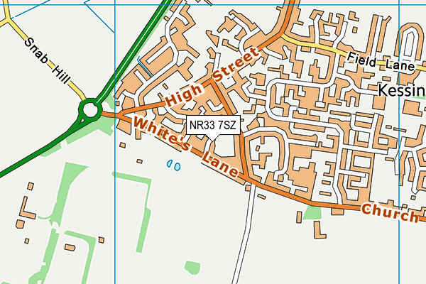 NR33 7SZ map - OS VectorMap District (Ordnance Survey) NR33 7SZ map - OS VectorMap District (Ordnance Survey)